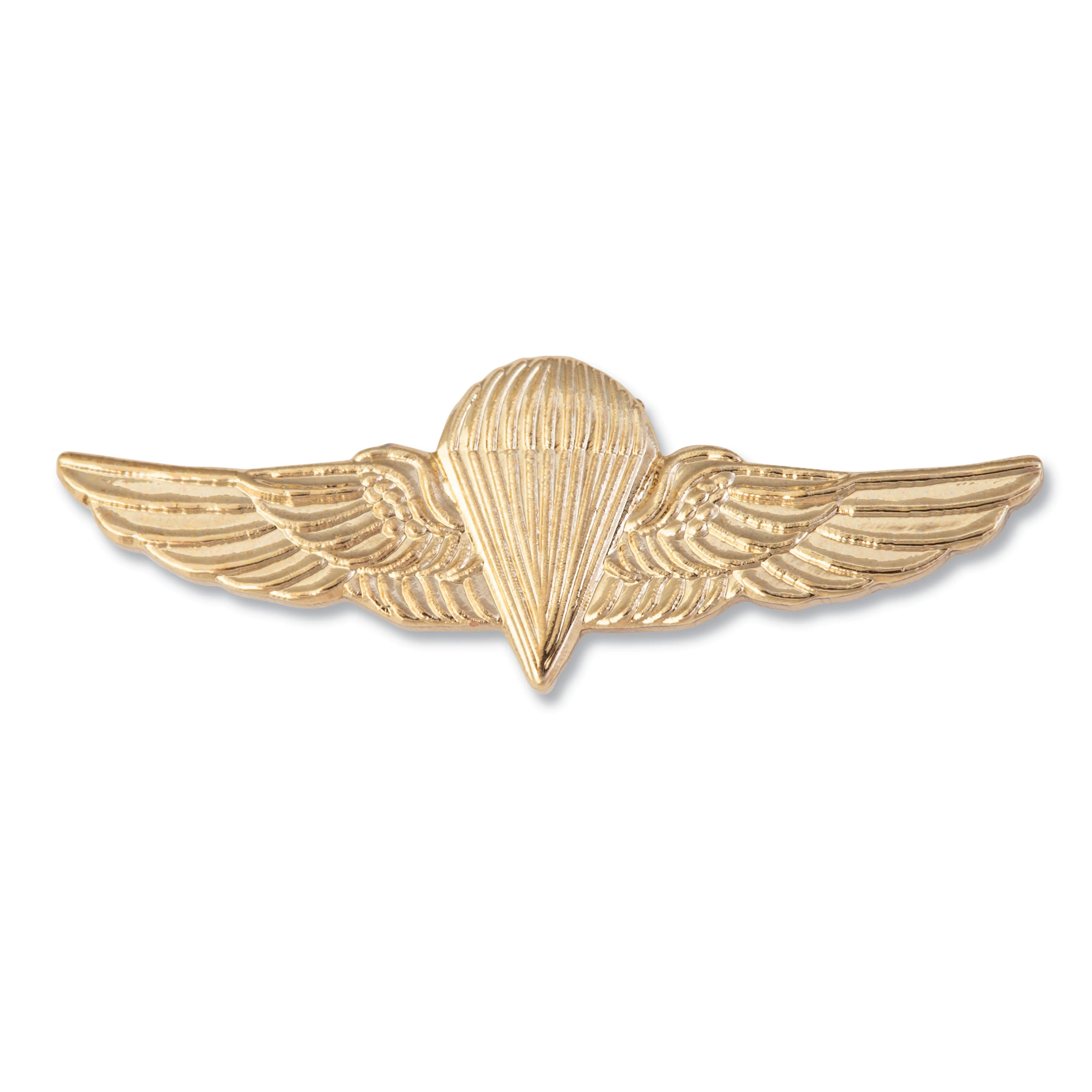 Jump Wings Pin