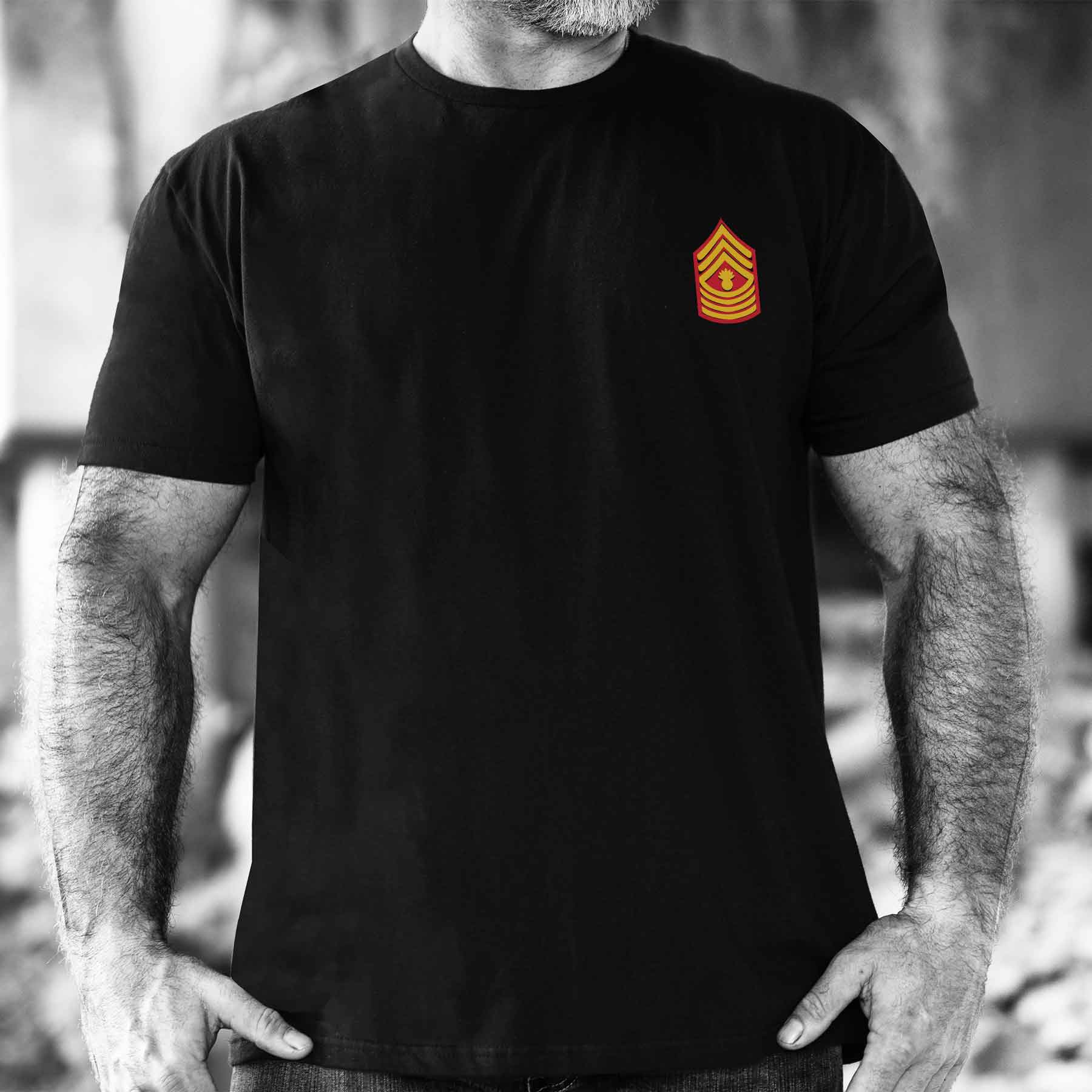 Choose Your Rank USMC And USA Crossed Flags T-shirt - Image 2