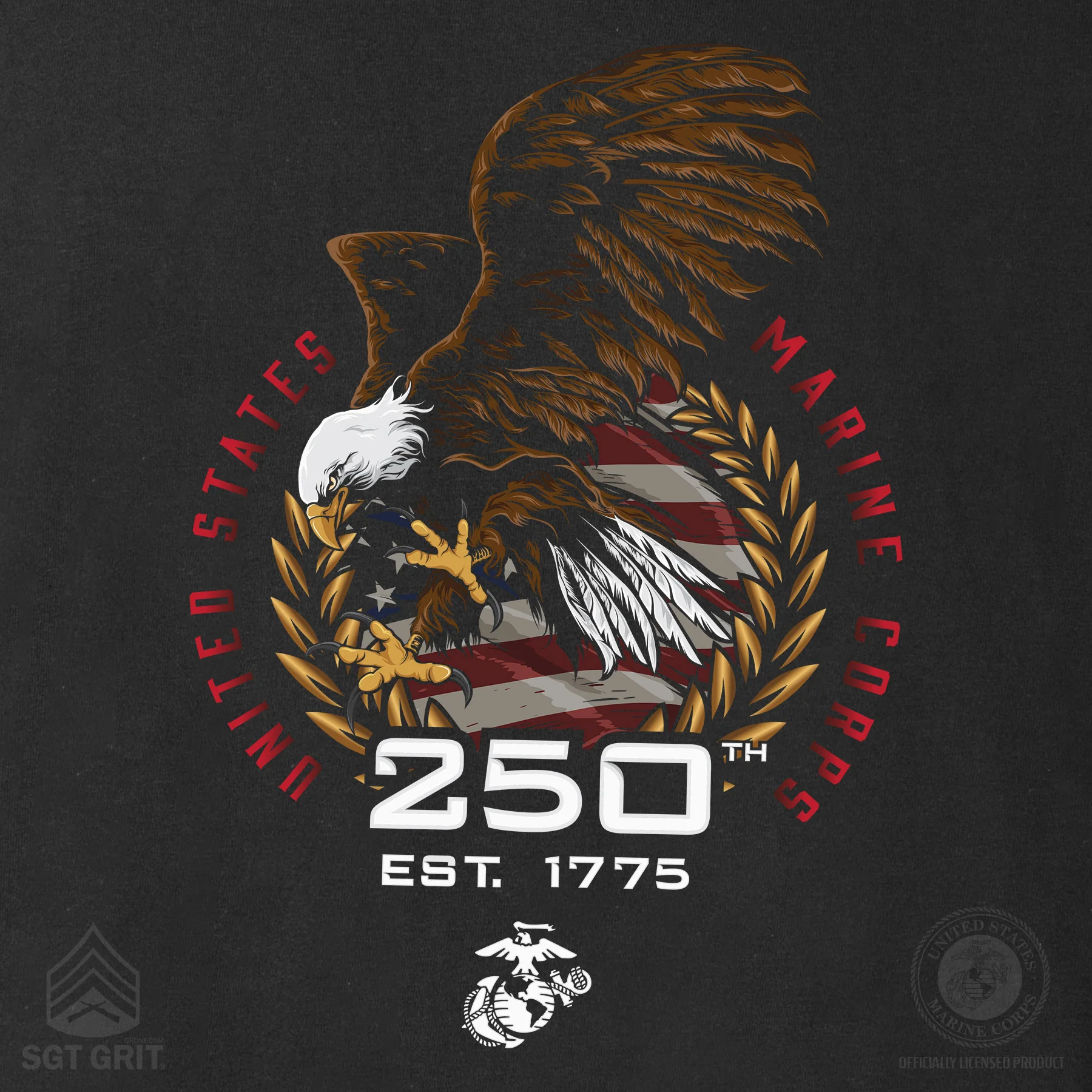 USMC 250th Anniversary Eagle Hoodie - Image 3