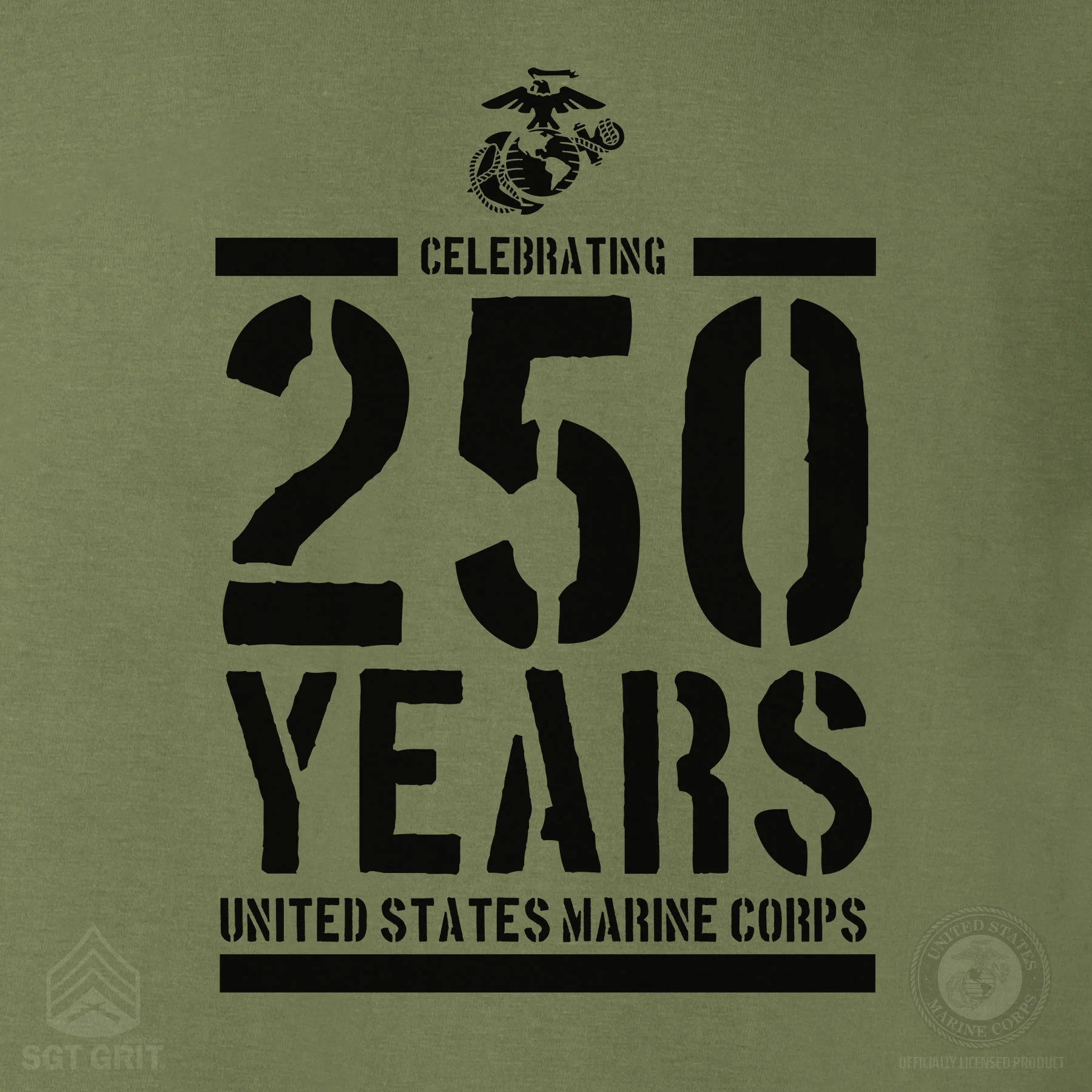USMC Celebrating 250 Years Hoodie - Image 3