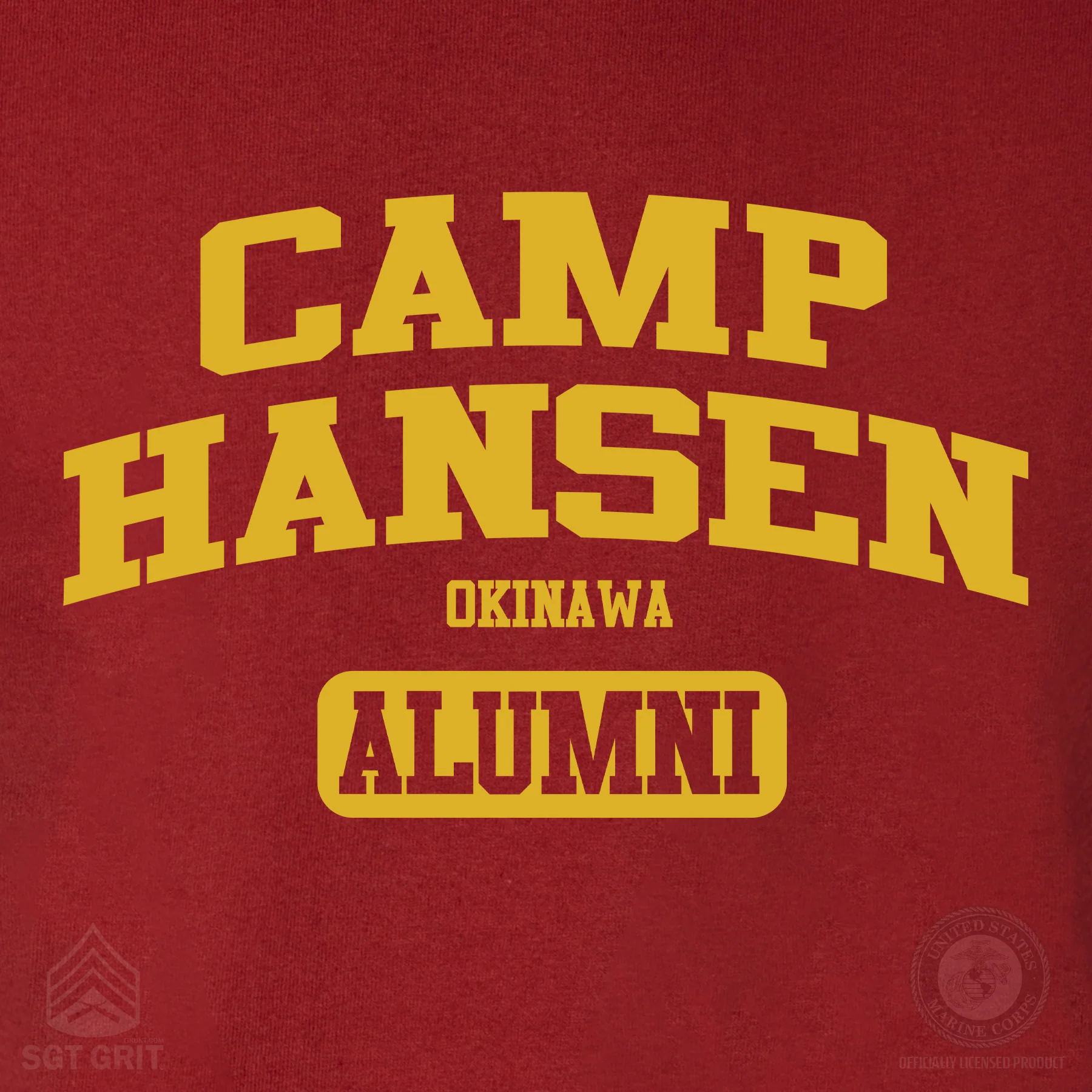 Marine Corps Camp Collegiate Alumni Hoodie - Image 12