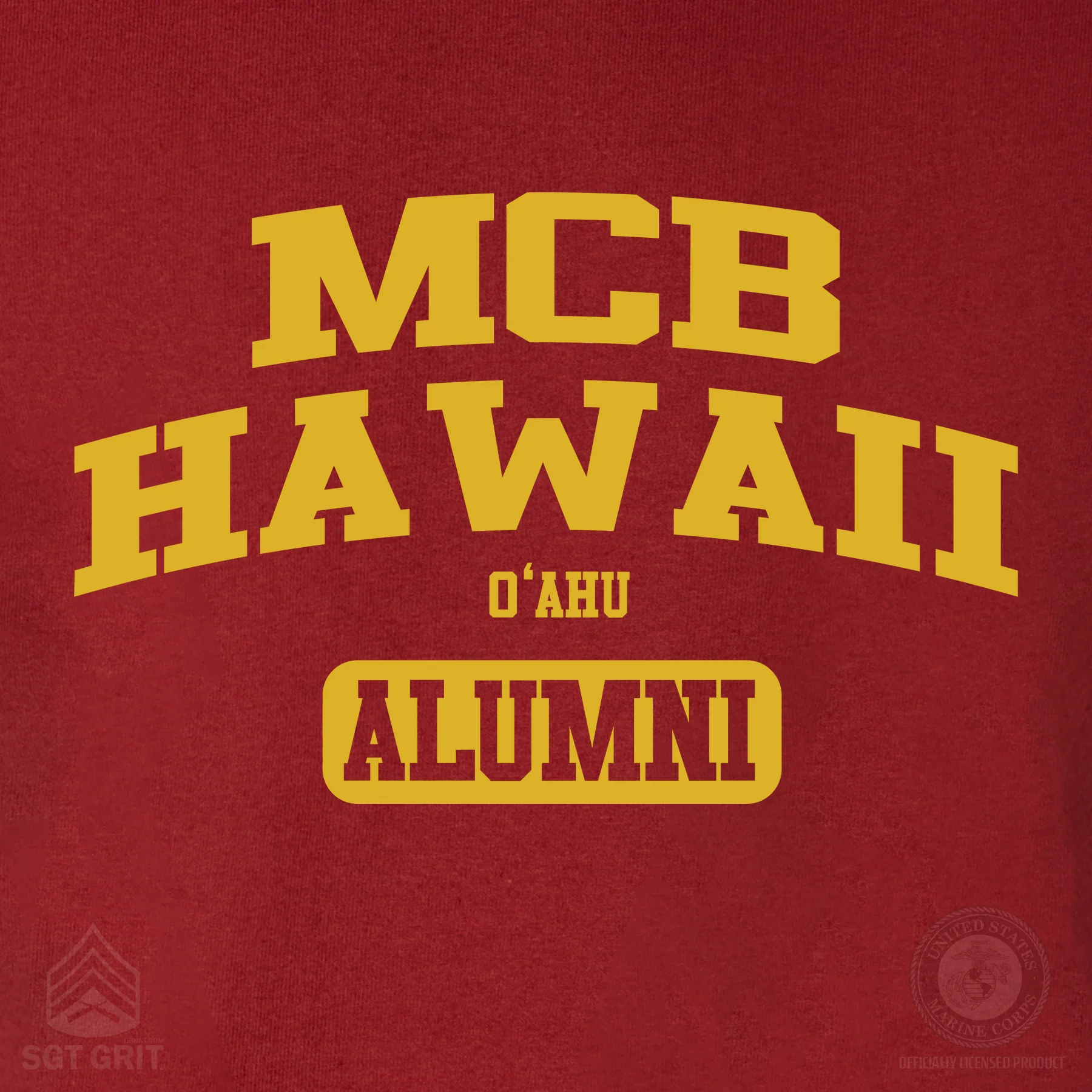Marine Corps Camp Collegiate Alumni Hoodie - Image 43