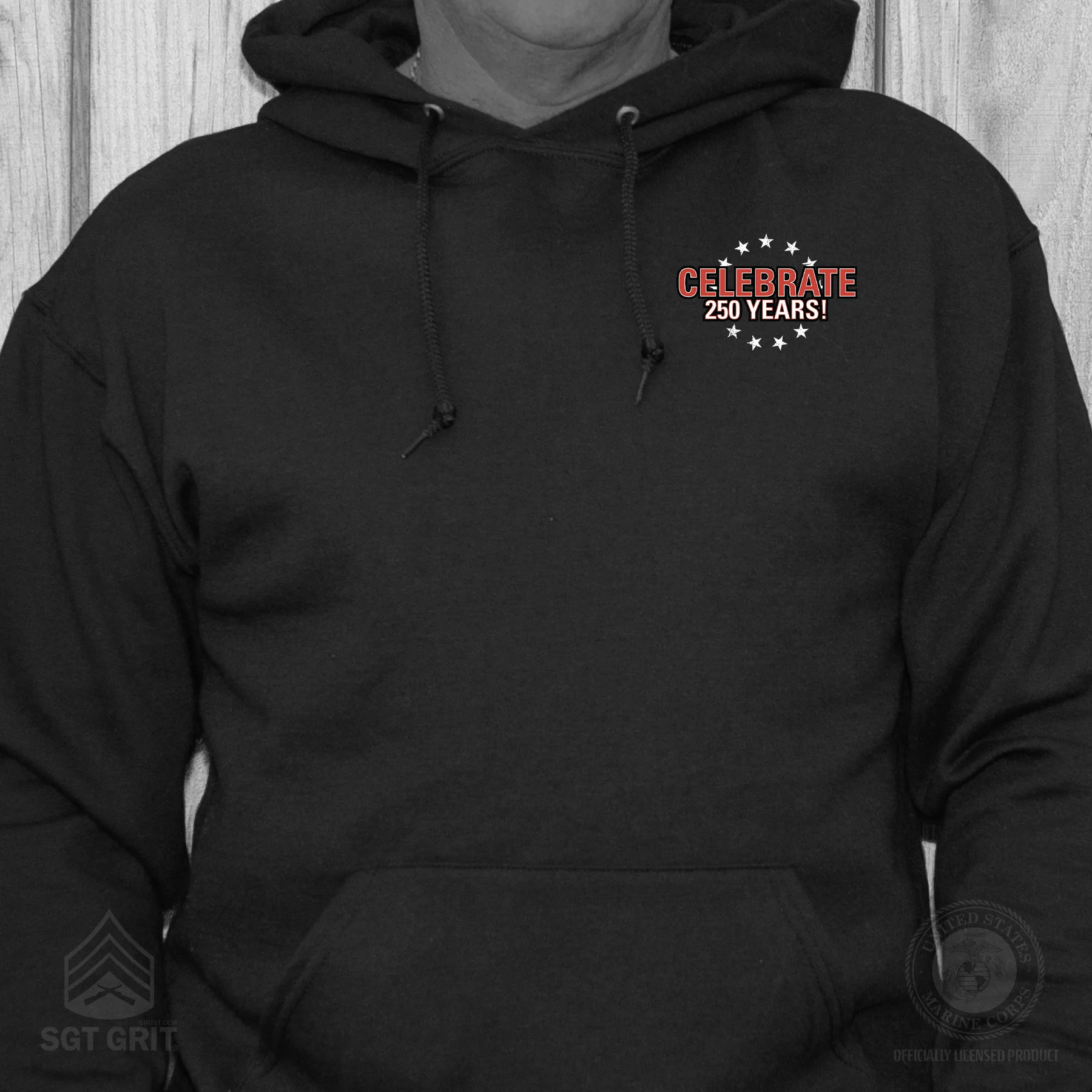 I Want You to Celebrate 250 Years Hoodie- Back Design - Image 2