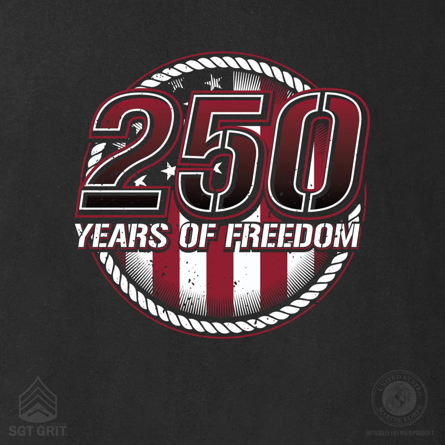 250 Years of Freedom Hoodie - Back Design - Image 12