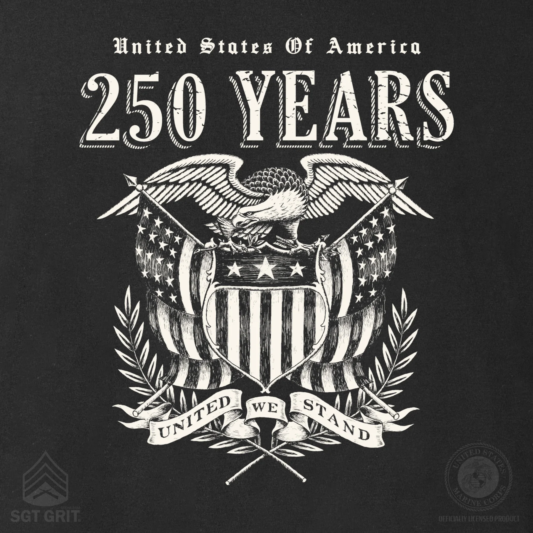 250 Years United We Stand Hoodie - Image 10