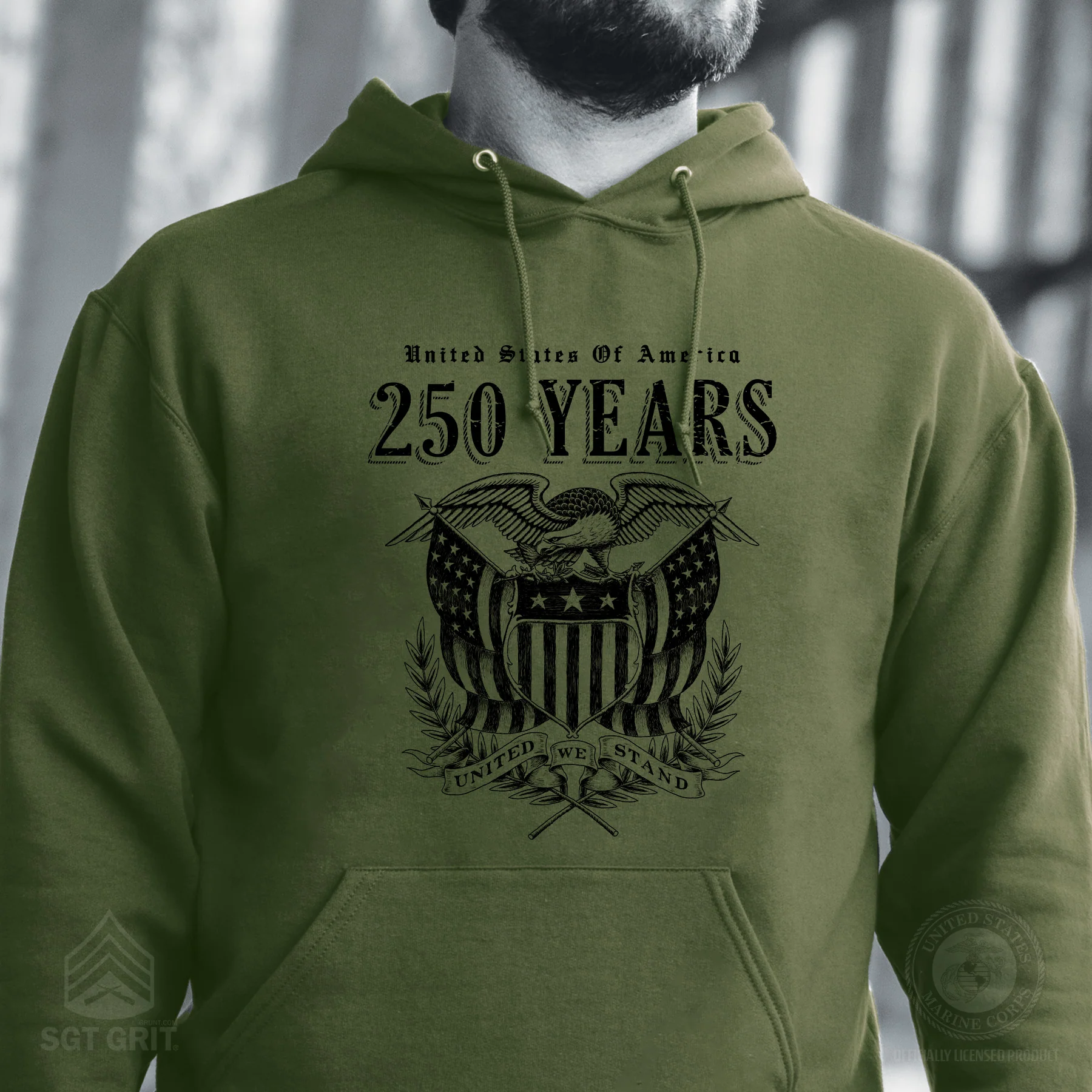 250 Years United We Stand Hoodie - Image 2