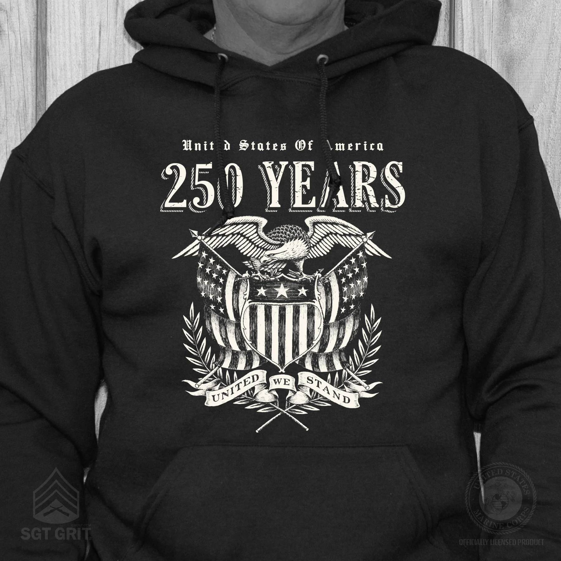 250 Years United We Stand Hoodie - Image 6