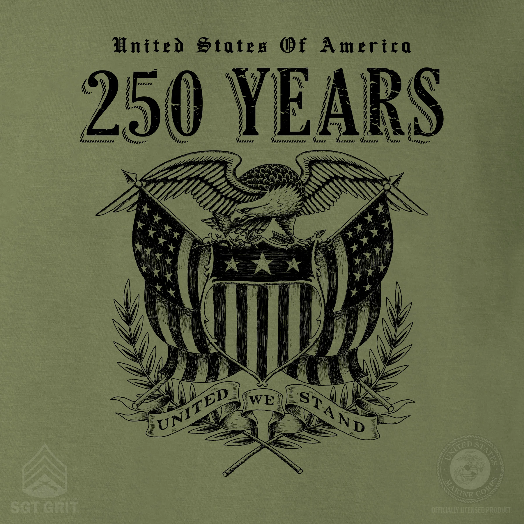250 Years United We Stand Hoodie - Image 8