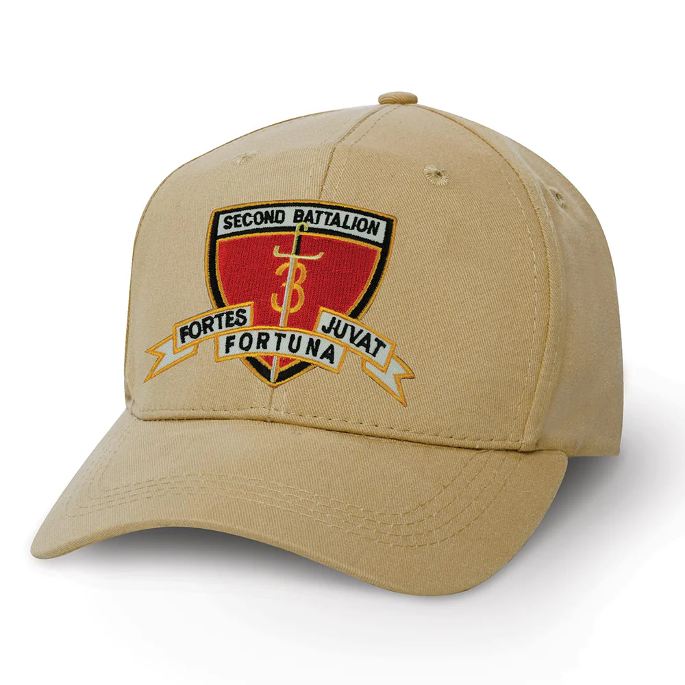 2nd Battalion 3rd Marines Patch Cover - Image 2