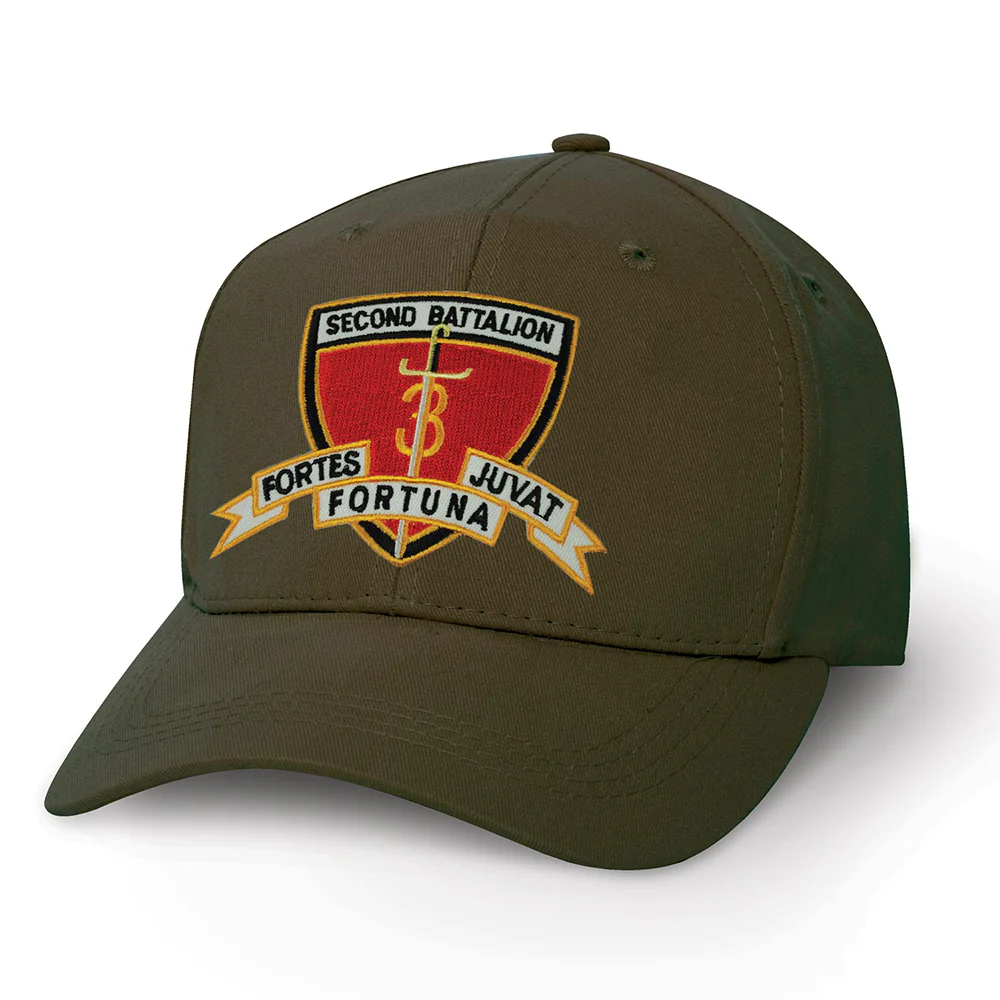 2nd Battalion 3rd Marines Patch Cover - Image 5