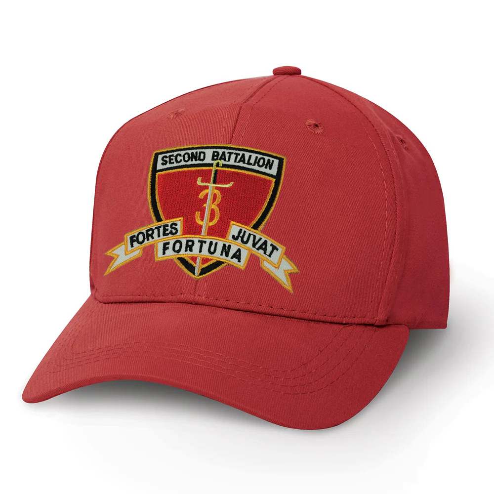 2nd Battalion 3rd Marines Patch Cover - Image 6