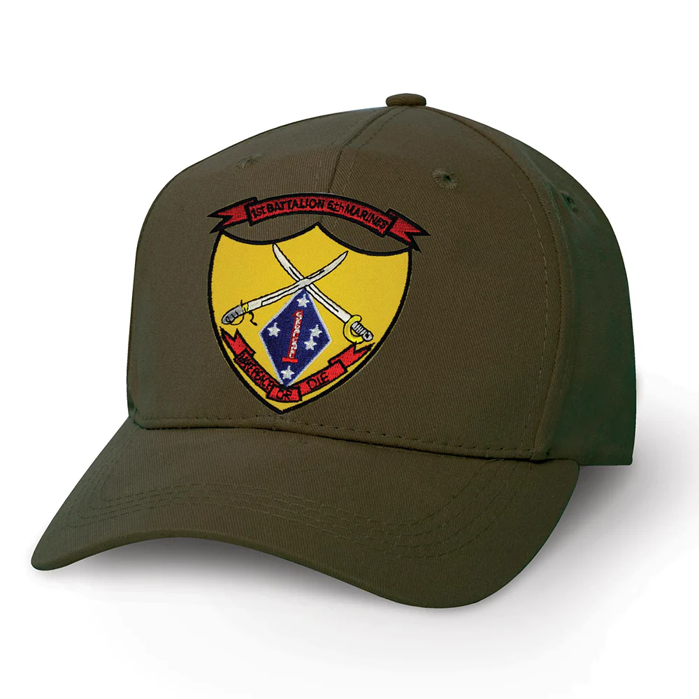 1st Battalion 5th Marines Patch Cover - Image 5