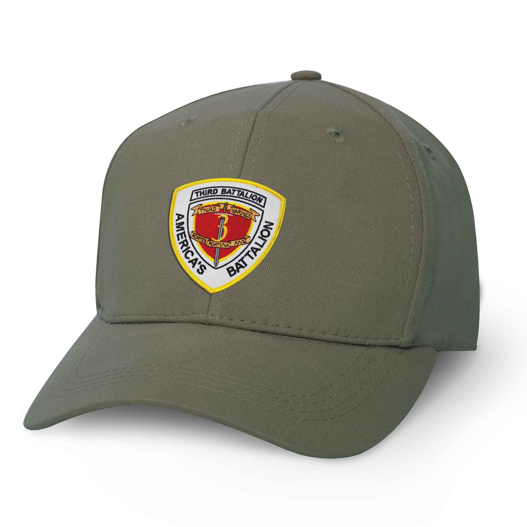 3rd Battalion America's Battalion Patch Cover - Image 5