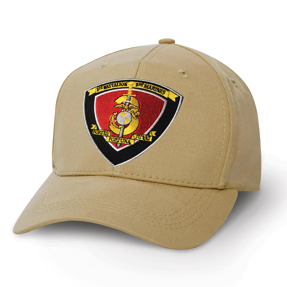 3rd Battalion 3rd Marines Patch Cover - Image 2