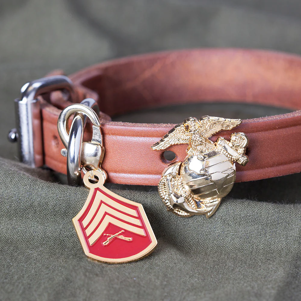 Pet Rank Charms