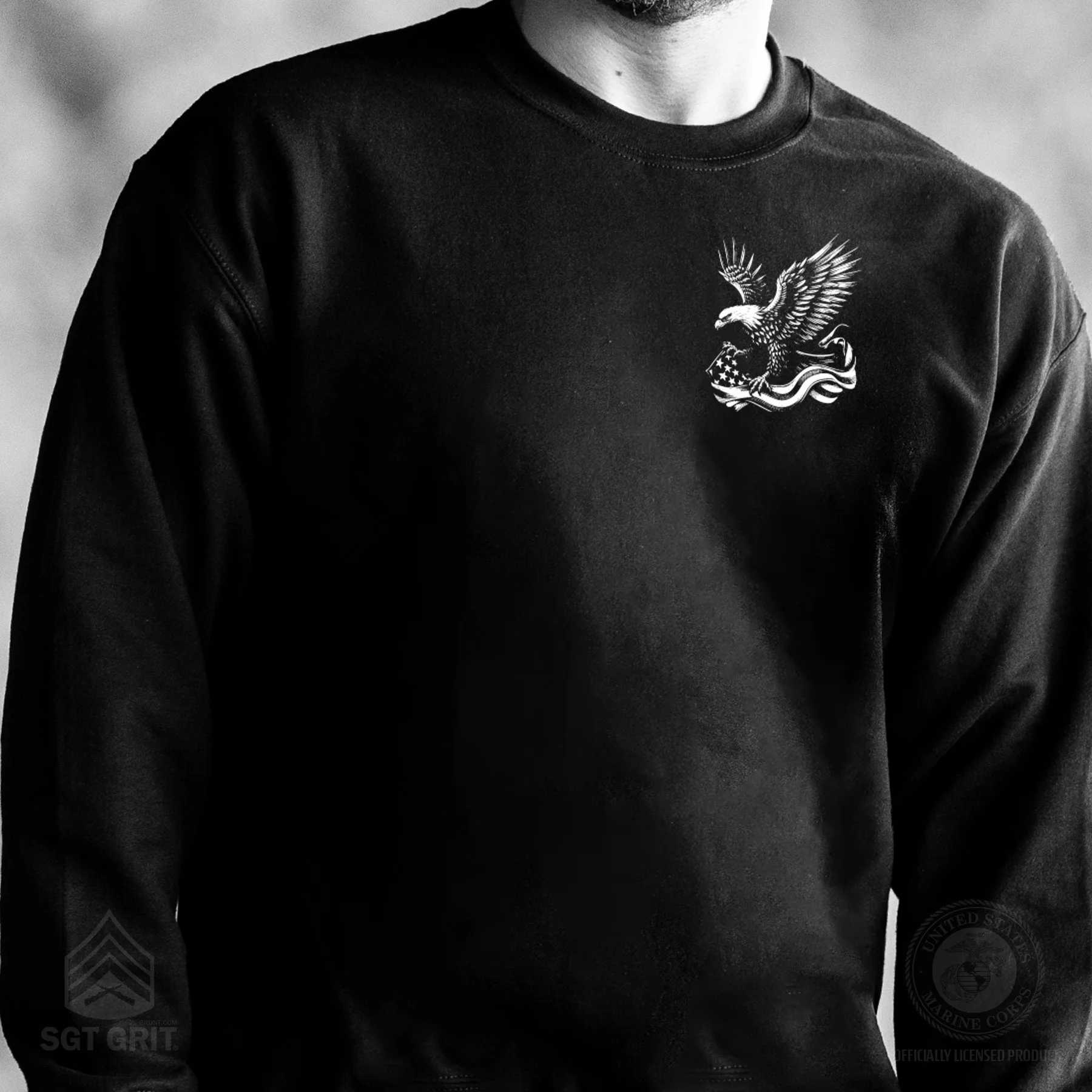 We The People 250 Years Eagle Sweatshirt- Back Design - Image 2