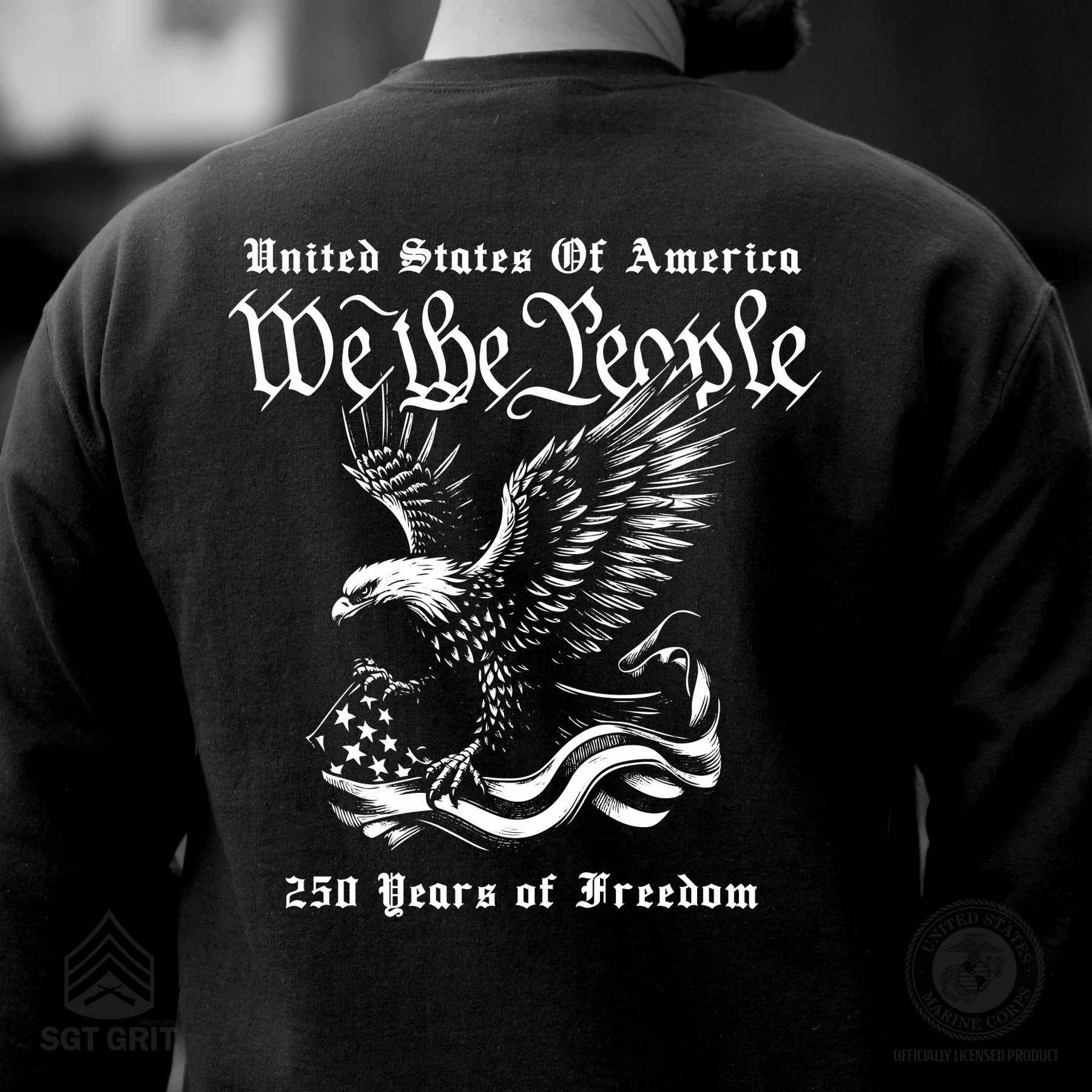 We The People 250 Years Eagle Sweatshirt- Back Design - Image 3