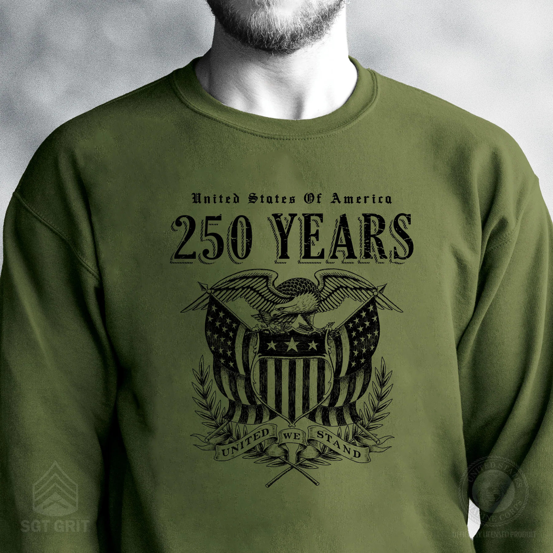 250 Years United We Stand Sweatshirt - Image 2