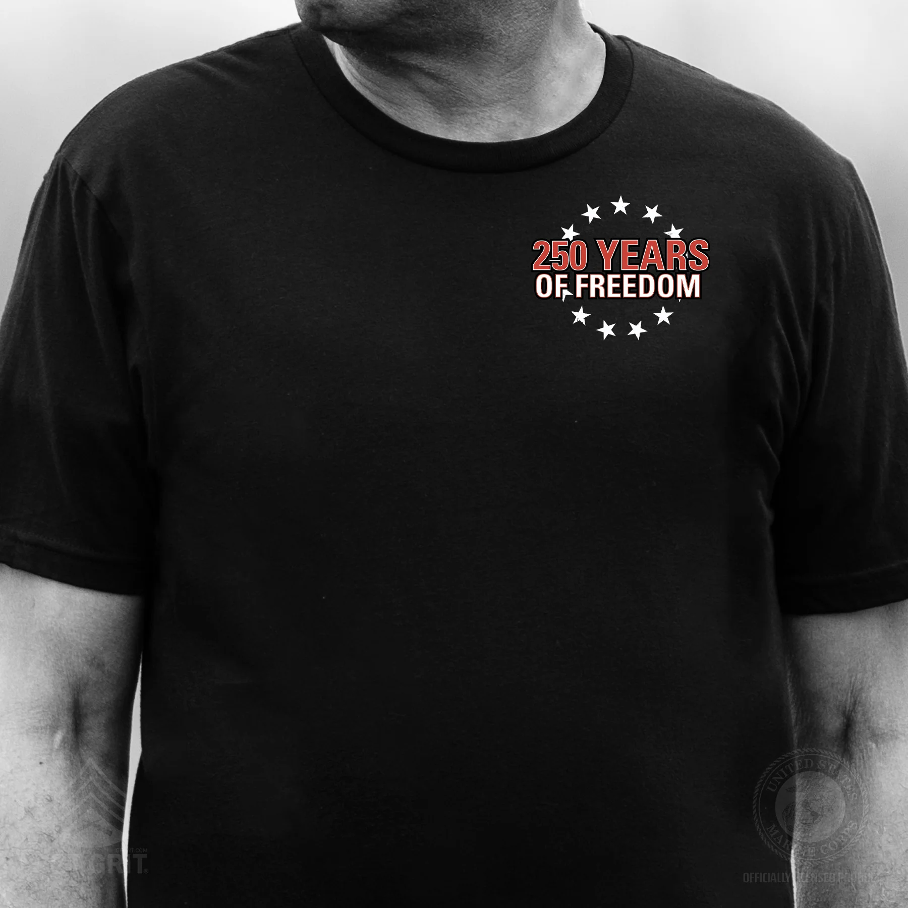 Cheers to 250 Years of Freedom T-Shirt - Back Design - Image 3