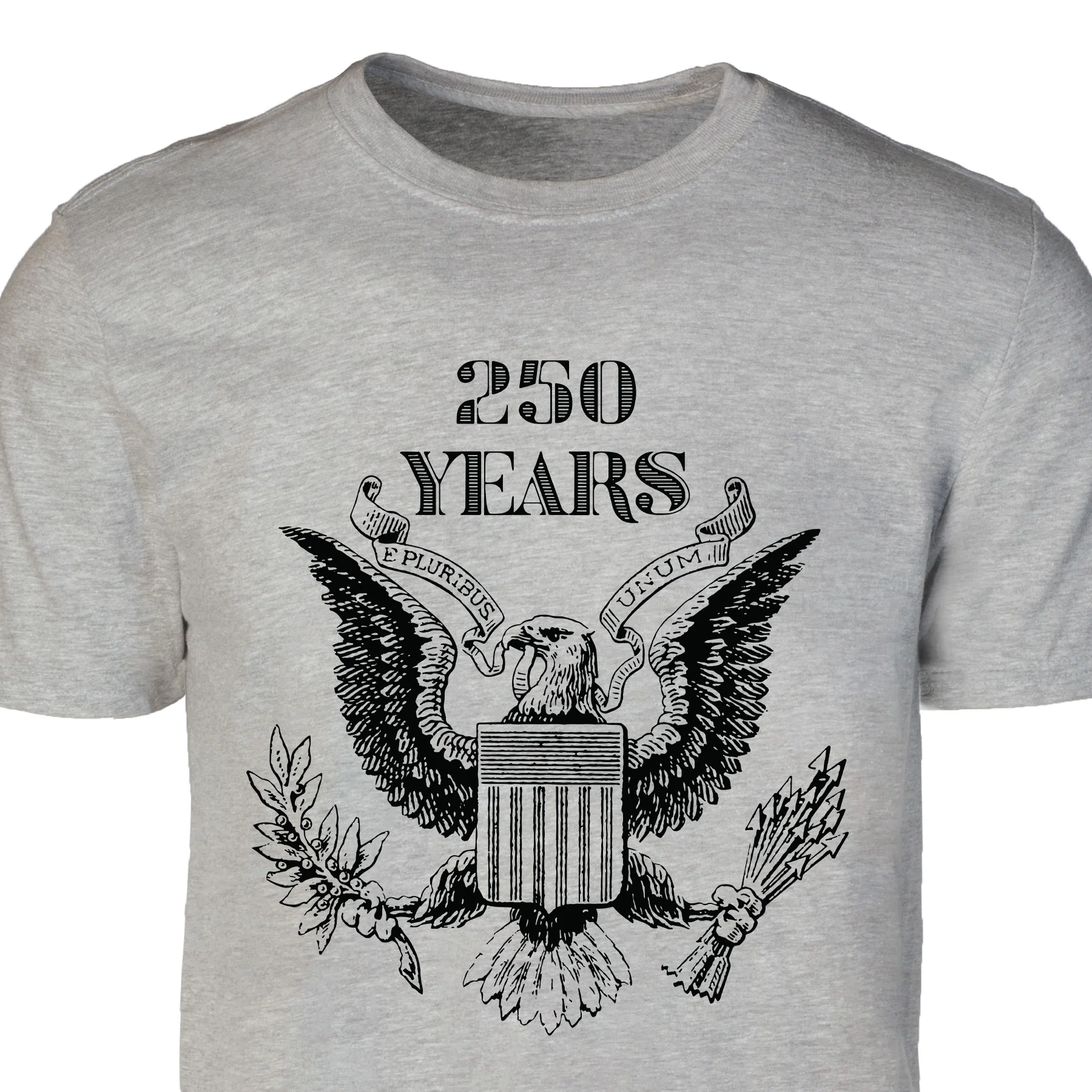 Vintage Eagle 250 Years T-Shirt- Gray