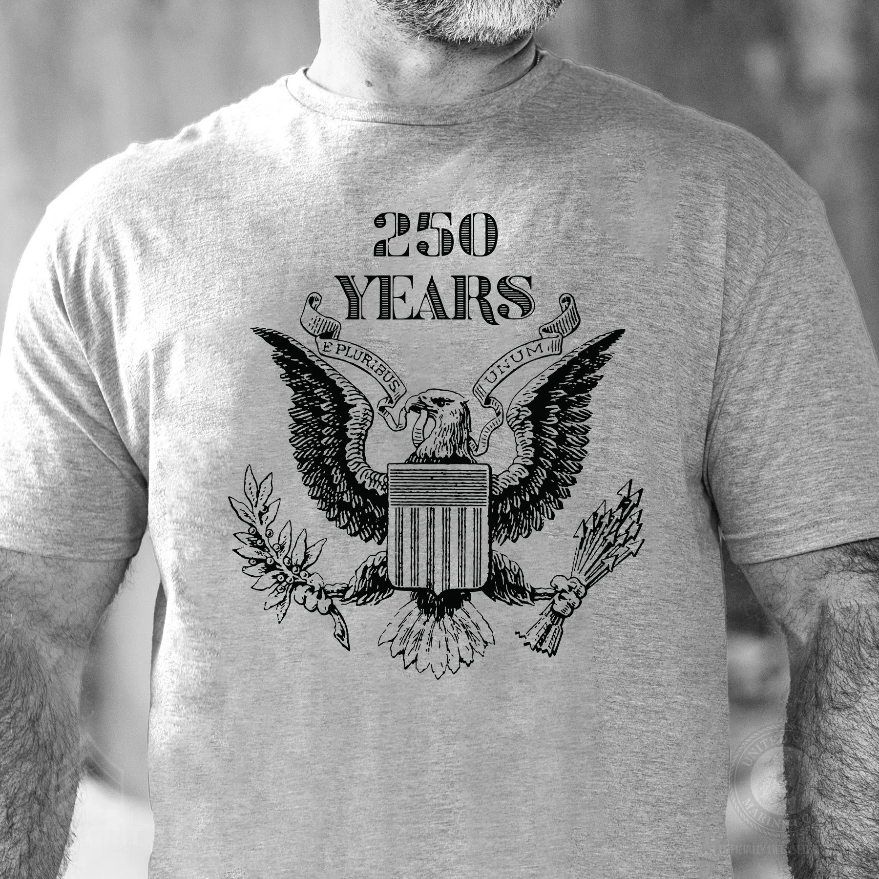 Vintage Eagle 250 Years T-Shirt- Gray - Image 2