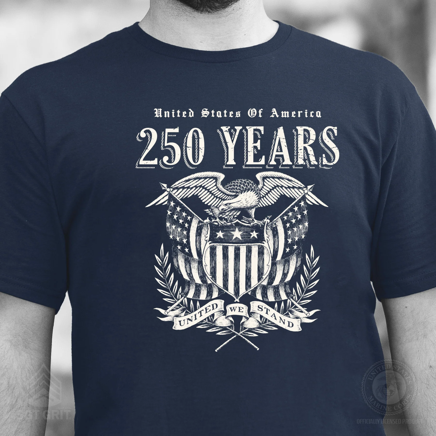 250 Years United We Stand T-Shirt - Image 2